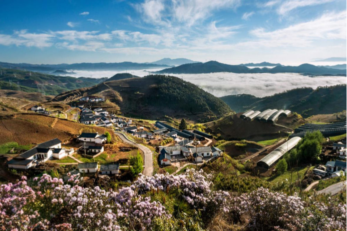 10 東方電氣集團科技興農 助力涼山火普村打造數字鄉村804.png